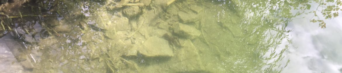 cropped-IMG_9531.jpg