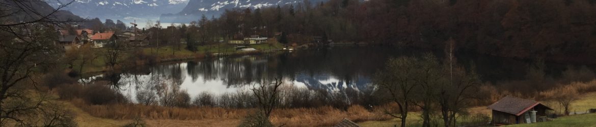 Fischereiverein Ringgenberg-Goldswil