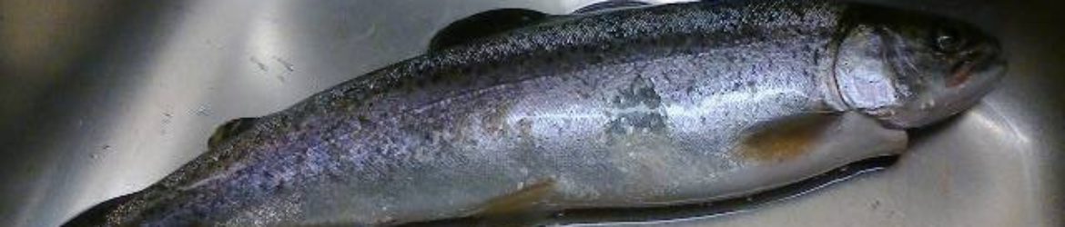 Fischereiverein Ringgenberg-Goldswil