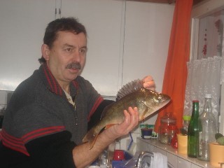 reber3
