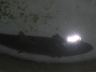 023